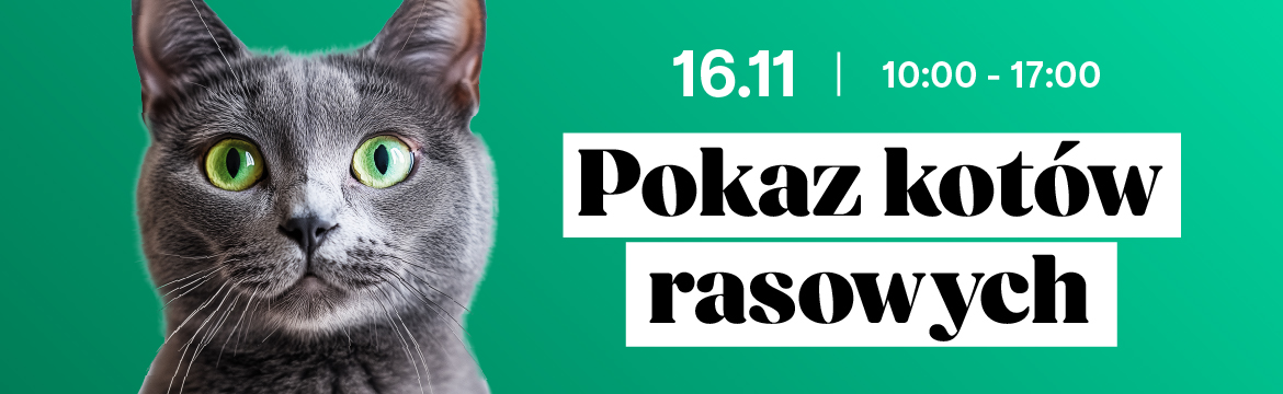 Pokaz kotów rasowych