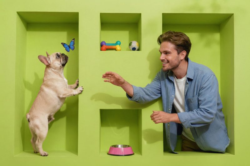 pies z mężczyzną, który daje smakołyki