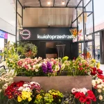 kwiaciarnia kwiatoprzestrzeń w pasażu grunwaldzkim