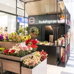 kwiaciarnia kwiatoprzestrzeń w pasażu grunwaldzkim