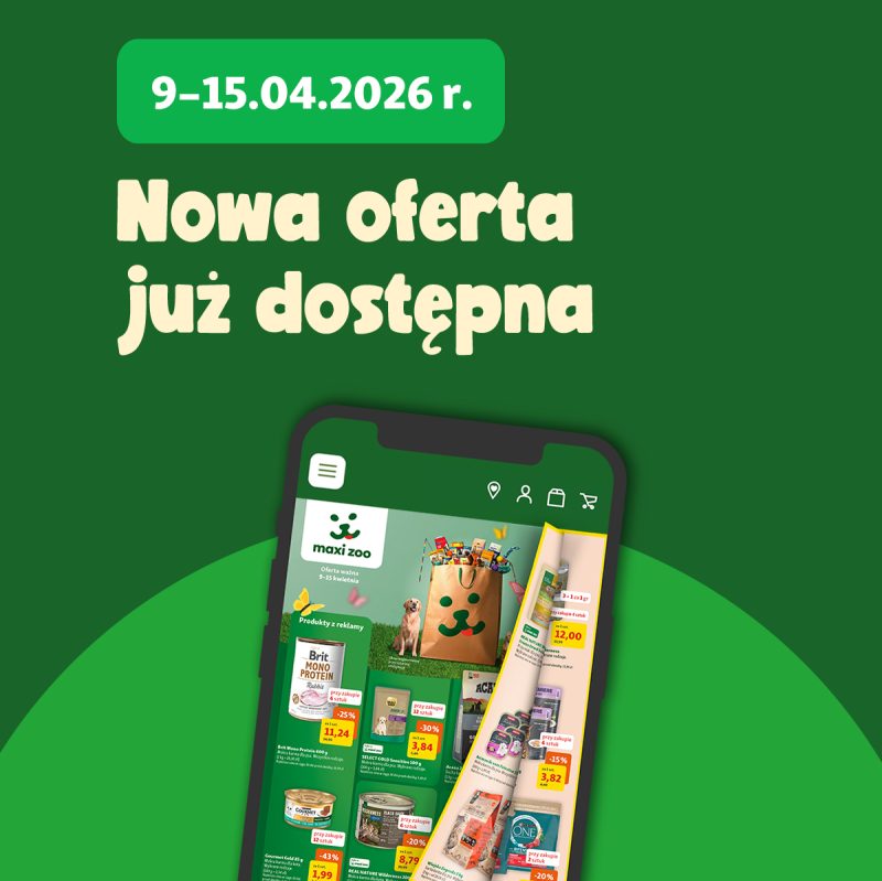 Grafika w kolorze zielonym, przedstawiająca telefon, na którym widać okładkę najmowej gazetki promocyjnej w Maxi Zoo.