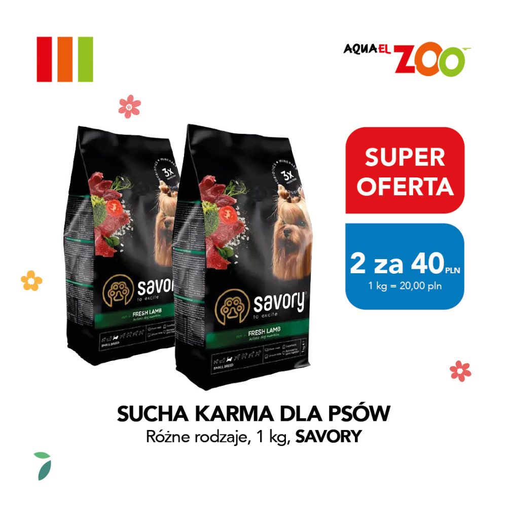 Grafika reklamowa na białym tle przedstawia dwa opakowania suchej karmy dla psów marki Savory z wizerunkiem małego psa rasy yorkshire terrier oraz kawałkami mięsa i warzyw. Po prawej stronie umieszczono czerwone i niebieskie etykiety informujące o promocji „SUPER OFERTA 2 za 40 PLN”, a u góry widnieje logo Aquael Zoo.