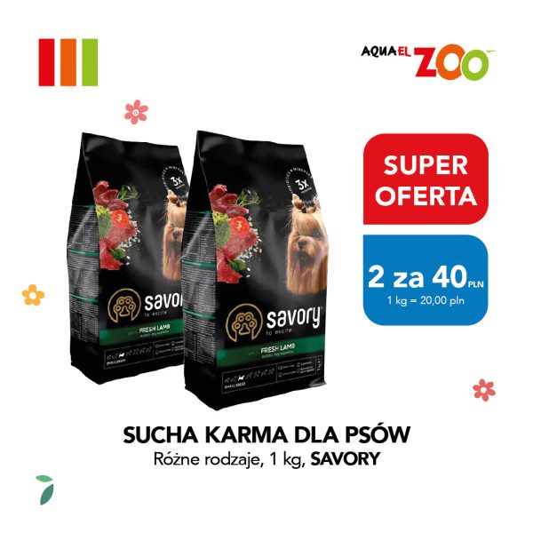Grafika reklamowa na białym tle przedstawia dwa opakowania suchej karmy dla psów marki Savory z wizerunkiem małego psa rasy yorkshire terrier oraz kawałkami mięsa i warzyw. Po prawej stronie umieszczono czerwone i niebieskie etykiety informujące o promocji „SUPER OFERTA 2 za 40 PLN”, a u góry widnieje logo Aquael Zoo.