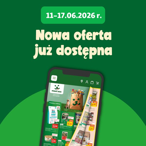 Kwadratowa grafika reklamowa sklepu zoologicznego Maxi Zoo z wizerunkiem border collie oraz informacją o nowej gazetce i oszczędzaniu na zakupach stacjonarnych