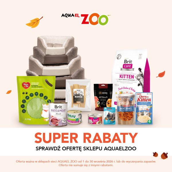 Kwadratowa grafika promocyjna sieci Aquael ZOO na jasnym tle z motywem spadających jesiennych liści. W centrum umieszczono wybór produktów dla zwierząt: wielopoziomowe legowisko, zielone opakowanie żwirku tofu dla kotów Have a Pet, karmy i przysmaki marek Brit, Savory, Oasy, Poésie, Appétit oraz Churu. Na dole widnieje napis SUPER RABATY SPRAWDŹ OFERTĘ SKLEPU AQUAELZOO oraz logo AQUAEL ZOO.