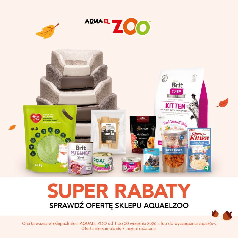 Kwadratowa grafika promocyjna sieci Aquael ZOO na jasnym tle z motywem spadających jesiennych liści. W centrum umieszczono wybór produktów dla zwierząt: wielopoziomowe legowisko, zielone opakowanie żwirku tofu dla kotów Have a Pet, karmy i przysmaki marek Brit, Savory, Oasy, Poésie, Appétit oraz Churu. Na dole widnieje napis SUPER RABATY SPRAWDŹ OFERTĘ SKLEPU AQUAELZOO oraz logo AQUAEL ZOO.